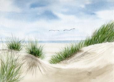 Postkarte DIN-A6  Düne im Sommer Aquarell Maritim Kunst Druck Kunstdruck Dänemark Nordsee Ostsee Dünen Meer Möwe Strand Amrum Sylt